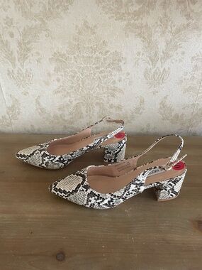 Steve Madden Snake-Print Pointed Slingback Heels in Black and Cream